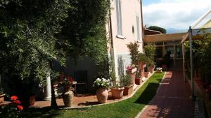 Zahrada ubytování Hotel Villa Flores