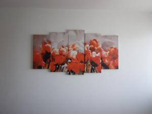a group of red flowers painting on a wall at El Descanso in Aínsa