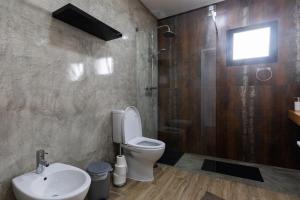 ein Badezimmer mit Toilette, Waschbecken und Dusche in der Unterkunft As Casas da Margarida in Ribeira Grande + 8 Fotos