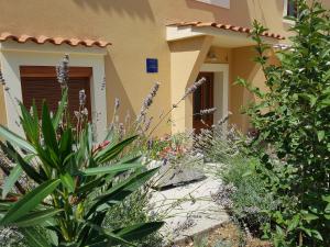 内里吉恩Apartman Studio Lu的一座花园,在房子前面种植了植物