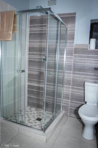Waterfall View Lodge في ميدراند: كشك دش في حمام مع مرحاض