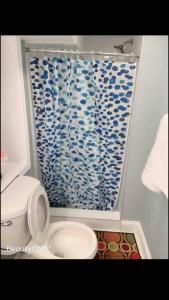 a bathroom with a toilet and a blue shower curtain at EN SUITE NEXT TO FELLS POINT in Baltimore