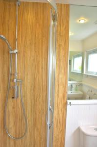 
a bathroom with a shower and a sink at No12 Bed and Breakfast, St Andrews in St. Andrews
