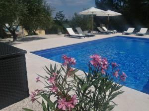 a swimming pool with chairs and umbrellas and flowers at Villa Viktor in Labin