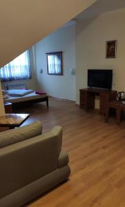 ein Wohnzimmer mit einem Sofa und einem Flachbild-TV in der Unterkunft Bra Haus in Branev
