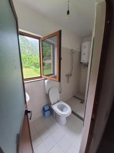 baño pequeño con aseo y ventana en Guest House Flodisa, en Theth