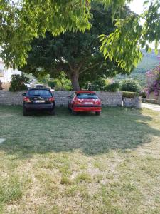 Zahrada ubytování Apartman Mi