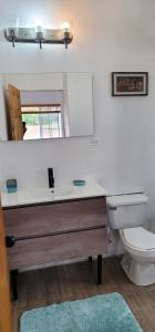 a bathroom with a sink and a toilet and a mirror at Azteca Villas in Treasure Beach +65 photos