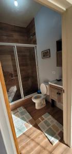 a bathroom with a toilet and a shower in it at Azteca Villas in Treasure Beach