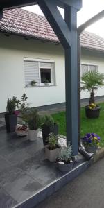 奧托查茨的住宿－Apartman Luce，一群盆栽植物坐在房子外