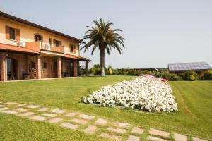 a pile of white flowers in a yard next to a house at Casa Vacanza Il Malandrone in Vada