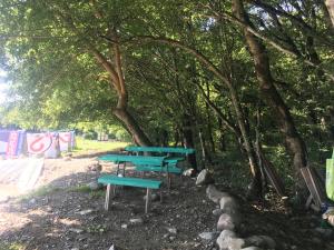 Garður fyrir utan Camping AISI in Lagodekhi