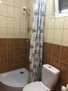 a bathroom with a toilet and a shower curtain at Casa Bambi in Sovata +39 photos