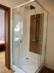 um chuveiro com uma caixa de vidro na casa de banho em Apartmánový dům 13 Rodinný em Seč
