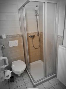 a bathroom with a shower and a toilet at Hotel Sankt Lorenz in Lübeck