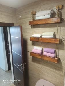 ein Bad mit Holzregalen und Handtüchern an der Wand in der Unterkunft Apartment Uphill Vukovic in Bar
