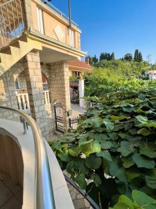 a house with a large lily pond next to a building at Apartments Moracanin in Sutomore