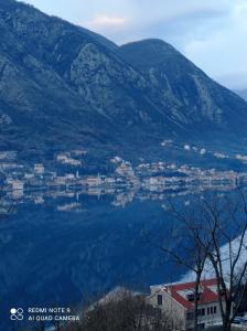 Kép Apartments Dakovic M szállásáról Kotorban a galériában