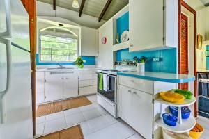 Eldhús eða eldhúskrókur á Nevis Home with Pool, Stunning Jungle and Ocean Views!
