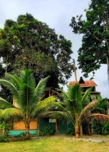 a house with two palm trees in front of it at Raices Mompiche in Mompiche