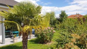 ChamarandesにあるLa Zénitude chambre d hôteのギャラリーの写真