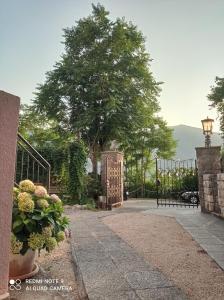 Foto da galeria de Apartments Dakovic M em Kotor