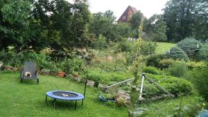 a garden with a blue table in the grass at Komfortowe noclegi w Villi blisko natury in Karpacz