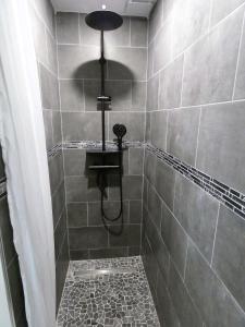 ein Bad mit einer Dusche mit einem Duschkopf in der Unterkunft Proche Lac du Salagou, Chambre agréable avec salle d'eau et WC privé in Lacoste