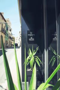 un par de plantas frente a un edificio en Hotel Mestral Perelló, en Perelló