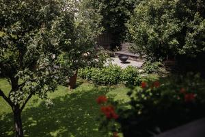 A garden outside Ludwig‘s Mountain Lodges