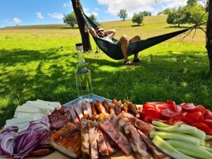 a man laying in a hammock next to a table of food at Cabana Chalet Transylvania in Orlat