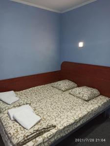 - un lit avec 2 oreillers dans l'établissement RP hotel Лісова пісня, à Kovel