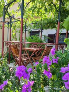 a wooden bench sitting in a garden with purple flowers at SUMMER TIME in Premantura