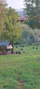 Φωτογραφία από το άλμπουμ του Diamond Farm Villa στα Καλά Νερά