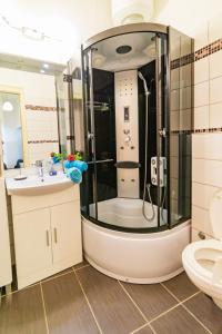 a bathroom with a shower and a toilet at Apartman Rene in Crikvenica