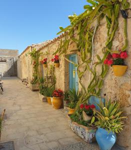 um edifício de pedra com vasos de plantas e uma porta azul em Casarossa em Pachino
