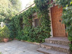 Vonkajšia záhrada v ubytovaní Casa Rural Sole