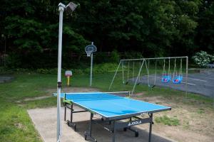 Stolní tenis v ubytování Americas Best Value Inn & Suites Lake George nebo okolí