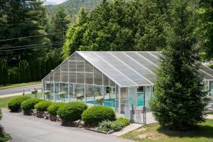 Bazén v ubytování Americas Best Value Inn & Suites Lake George nebo v jeho okolí