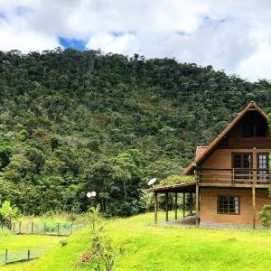 Príroda v okolí horskej chaty