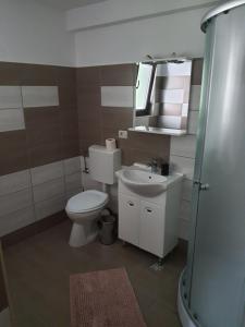 een badkamer met een toilet, een wastafel en een spiegel bij Casa Alma in Borşa +22 foto's