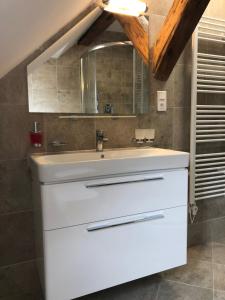 a bathroom with a white sink and a mirror at Egrensis Apartments in Loket