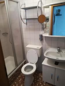 a bathroom with a toilet and a shower and a sink at Apartment Christopherhof 11, Grafenwiesen in Grafenwiesen