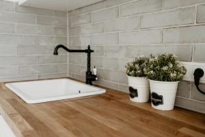 eine Badewanne mit zwei Topfpflanzen auf einem Holzboden in der Unterkunft Ferienhaus Olive in Winterberg