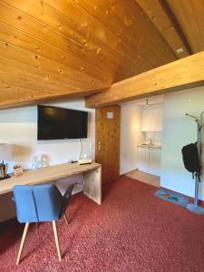 TV a/nebo společenská místnost v ubytování Boutique-Hotel Vincenz
