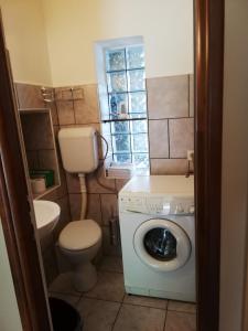 a small bathroom with a toilet and a washing machine at Apartment Haldej in Mošćenička Draga