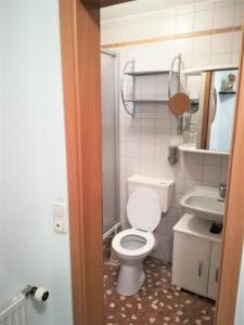 a bathroom with a toilet and a sink at Apartment Christopherhof 11, Grafenwiesen in Grafenwiesen