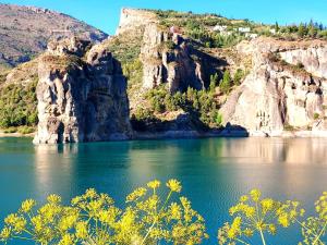 a view of a body of water with yellow flowers at Casa Rural Alba Montis in Güéjar-Sierra