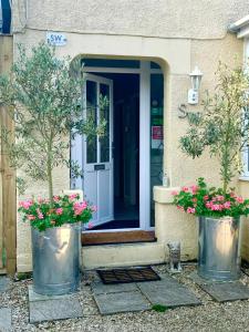 a front door of a house with two potted plants at SW Bed & Breakfast in Swindon