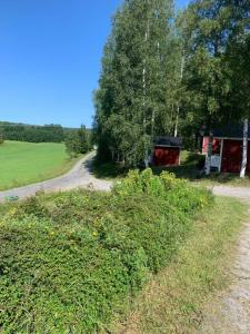 un chemin de terre à côté d'un champ avec une maison dans l'établissement Grindhammaren B&B, à Ramsberg